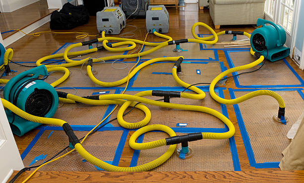 Professional Basement Flood Cleanup technician working in Harmans, MD
